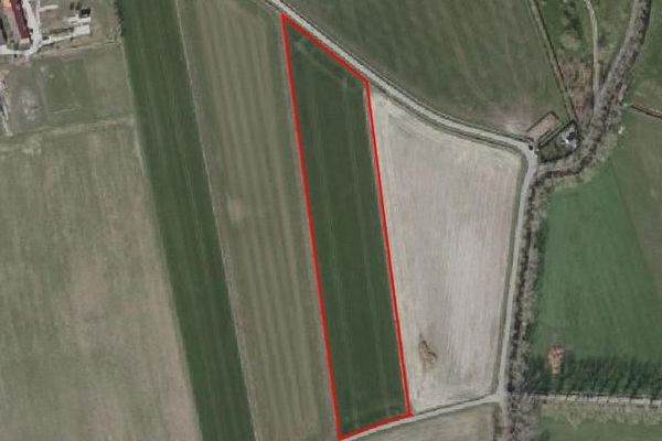 Landbouwgrond
                            te koop in Damme