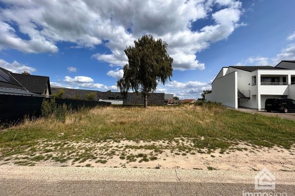 Projectgrond
                            te koop in Oudsbergen