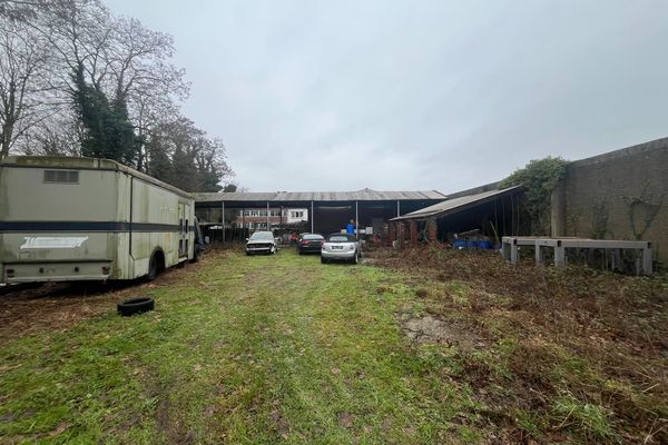 Industrieel te koop / Tessenderlo