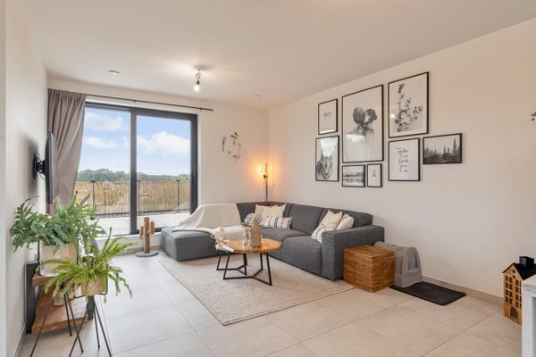 Estate main image