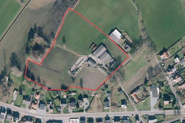 Hoeve
                            verkocht in Pelt