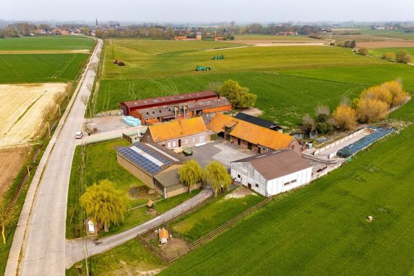 Hoeve
                            te koop in Watou