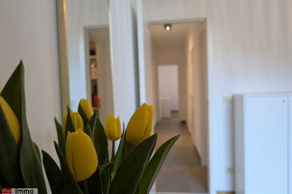 Appartement te huur / Tielt-Winge