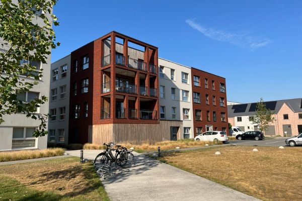 Appartement
                                verkocht in Harelbeke