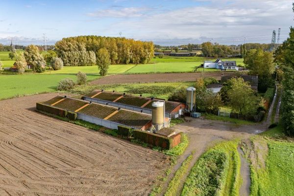 Boerderij te koop in Temse