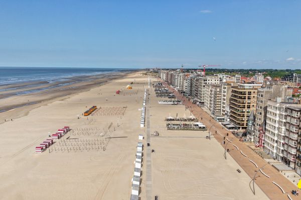 Appartement
                                a vendre in La Panne