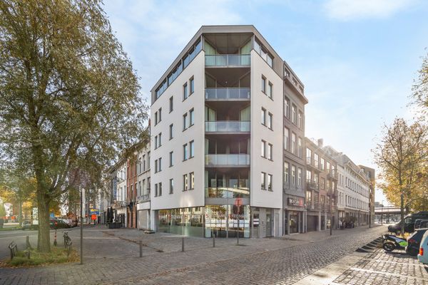 Appartement
                            verkocht in Antwerpen