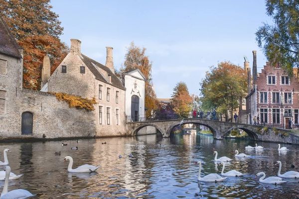 Commercieel te koop / Brugge