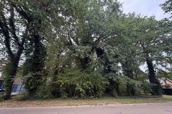 Bouwgrond  in Genk