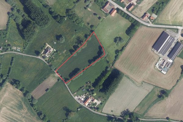 Weide
                            optie koop in Herne