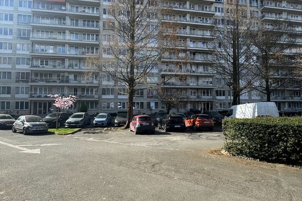 estate img