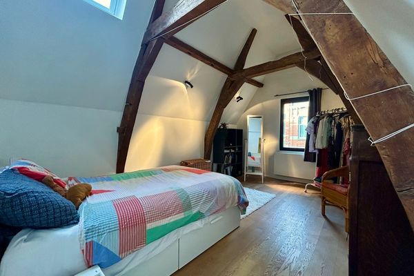 Commercieel te koop / Leuven