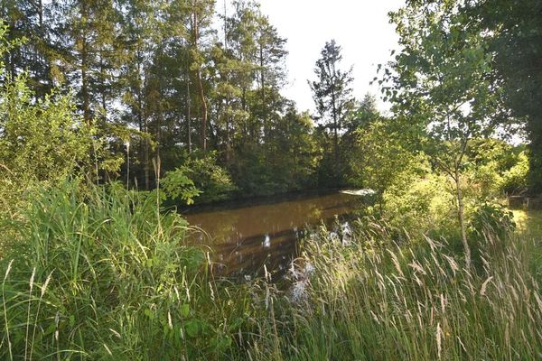 Recreatiegrond
                            te koop in Begijnendijk