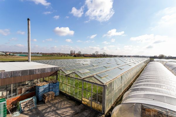 Woning
                            te koop in Oostnieuwkerke