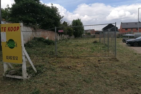 Bouwgrond
                            te koop in Denderleeuw