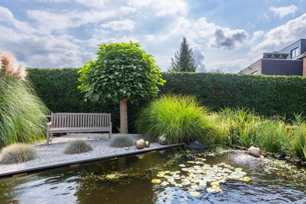 Huis te koop / Berendrecht