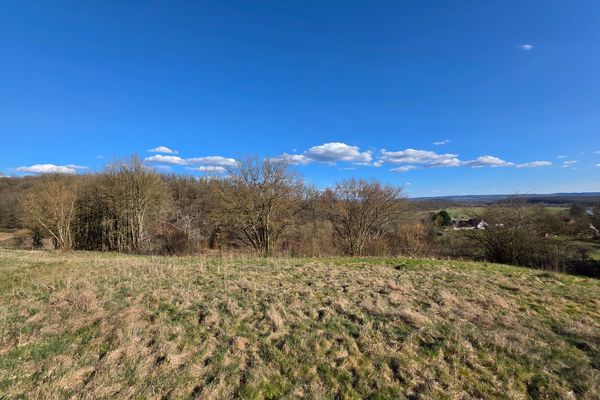 Terrain
                            a vendre in Durbuy