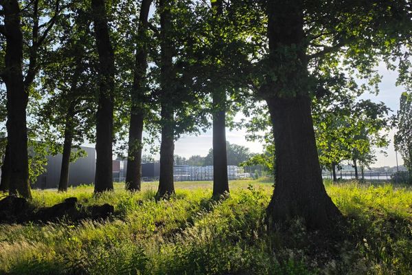 Commercieel te koop / Hasselt