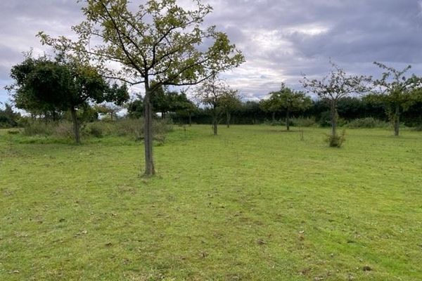 Grond te koop / Loksbergen