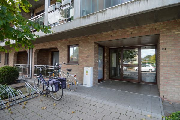 Commercieel te koop / Hasselt
