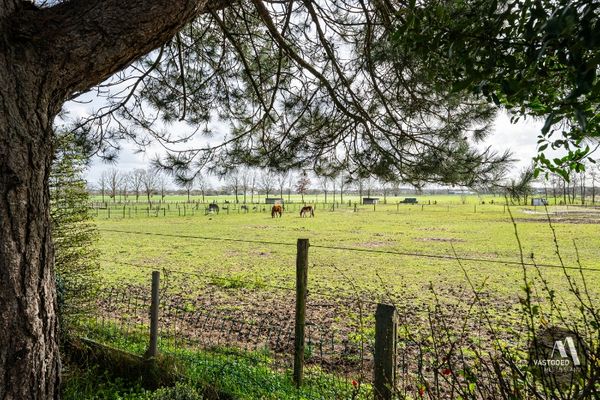 Huis te koop / Maldegem