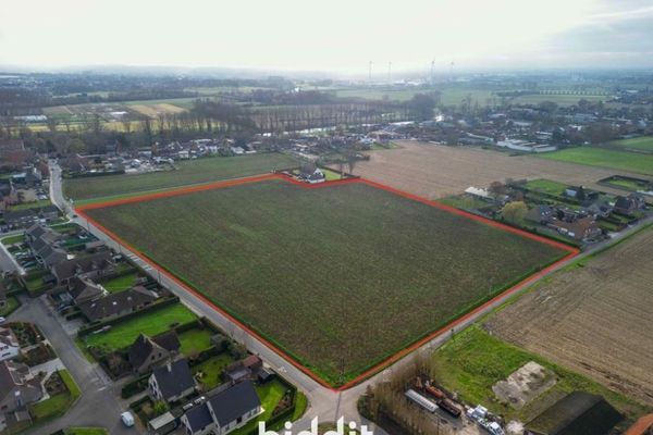 Terrain
                                a vendre
                                in Oeselgem