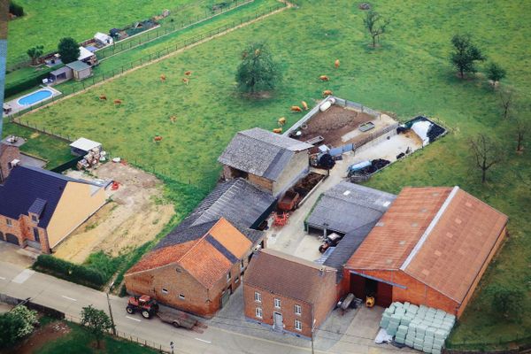 Hoeve
                            te koop in Tongeren