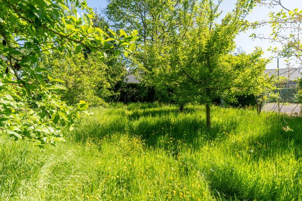 Huis verkocht / Halen