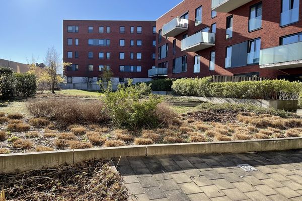 Appartement te huur / Kessel-Lo