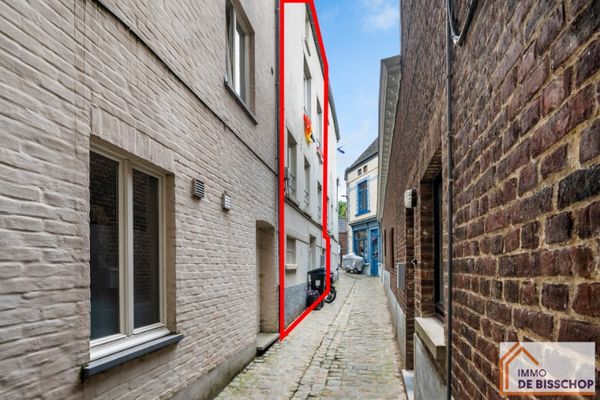 Woning
                            te koop in Geraardsbergen