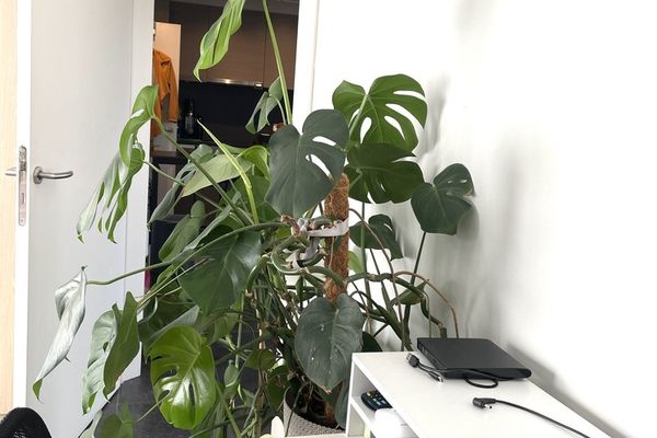 Appartement te huur / Bonheiden