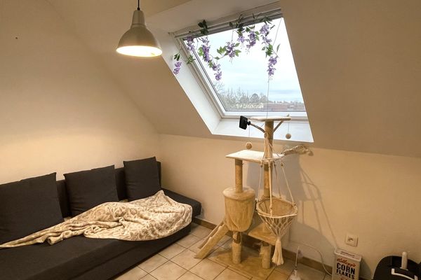 Appartement te huur / Haasrode