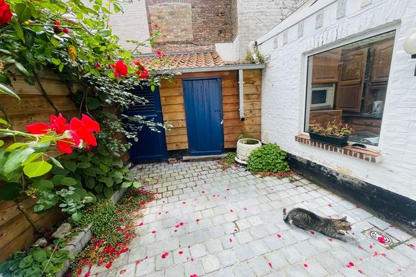 Huis te koop / Brugge