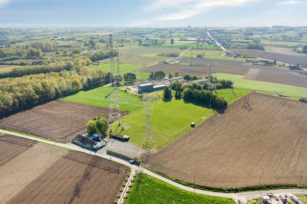 Handelspand te koop in Wortegem-Petegem