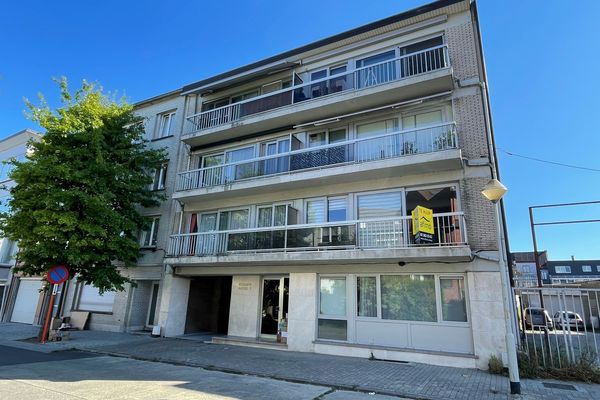 Estate main image