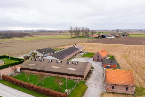 Boerderij
                            te koop in Leisele