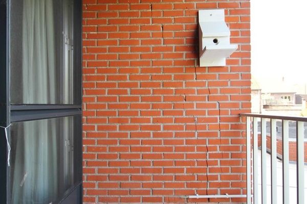 Appartement optie huur / Velm