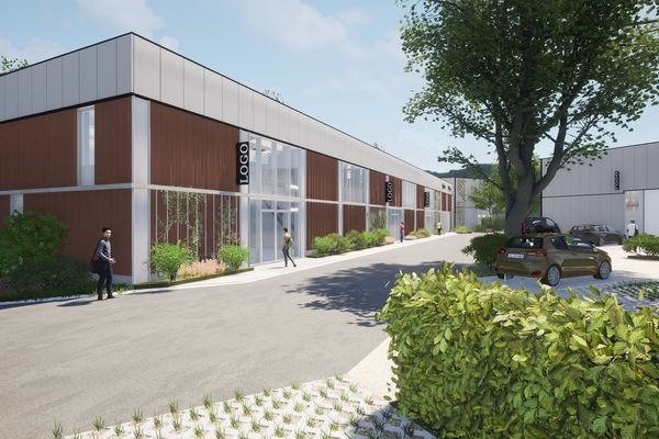 Industrieel te huur / Hasselt