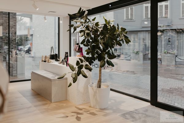 Commercieel gerealiseerd aanneming / Mol