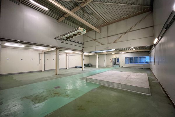 Industrieel te huur / Maasmechelen