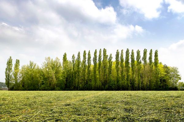 Grond
                                verkocht
                                in Adegem