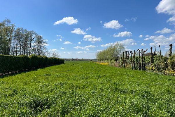 Foto van het pand