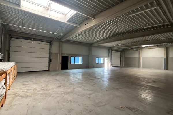 Industrieel te huur / Hasselt