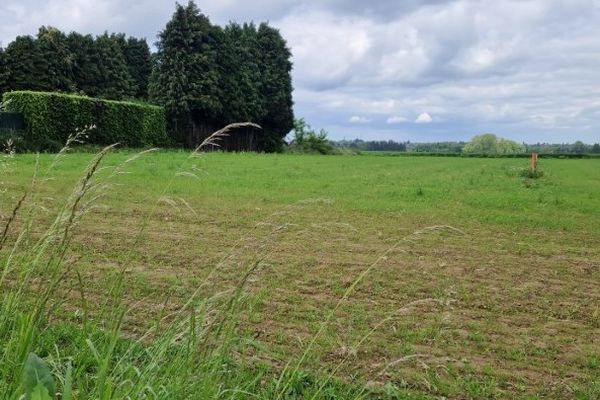 Grond te koop / Walshoutem