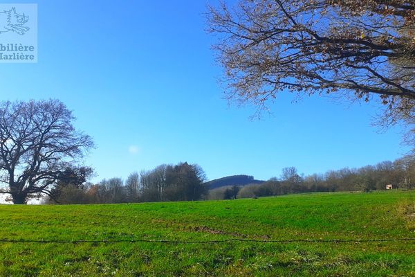 Terrain
                                a vendre
                                in Stavelot