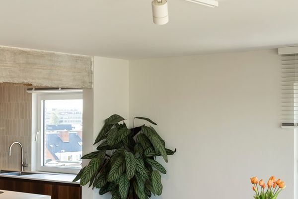 Appartement te koop / Hasselt