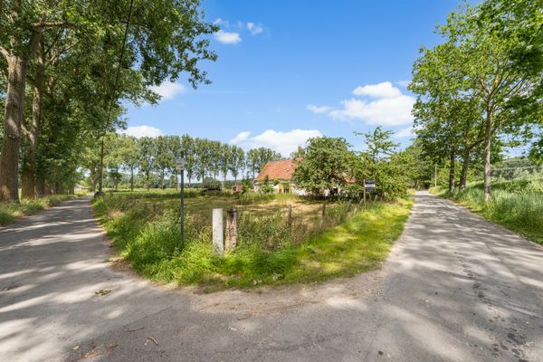 estate img