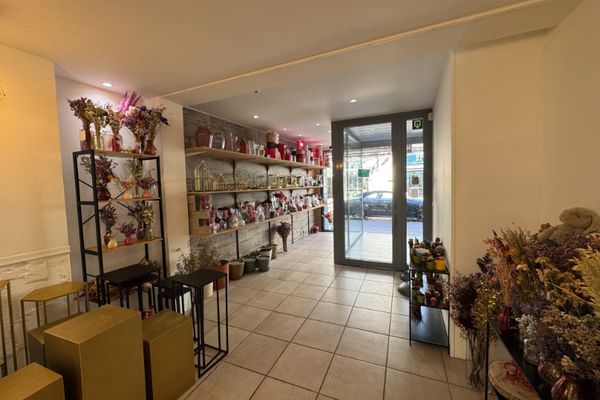 Commercieel te koop / Brasschaat