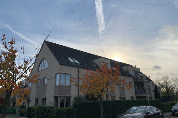 Appartement
                            te huur in Wilrijk