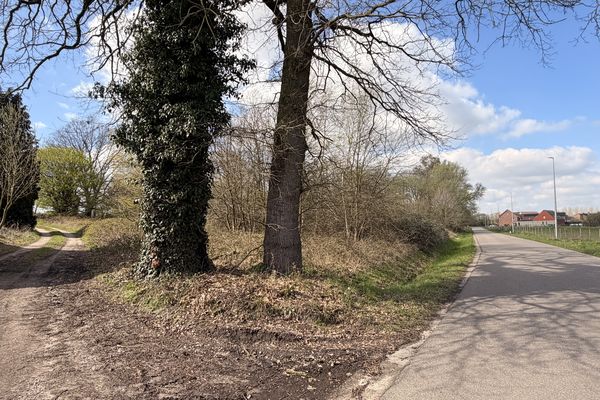 Grond te koop / Diepenbeek